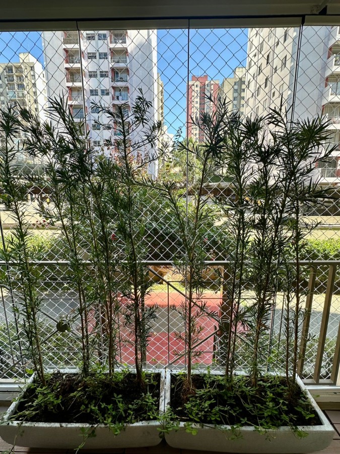 Apartamento, 3 quartos, 63 m² - Foto 28