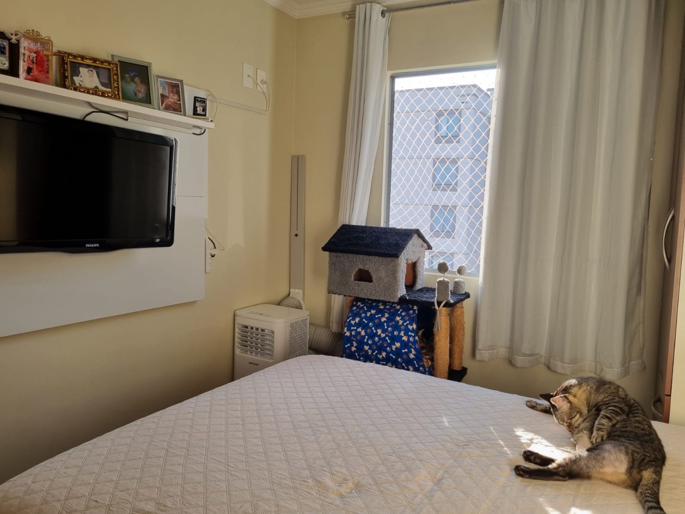Apartamento, 2 quartos - Foto 35