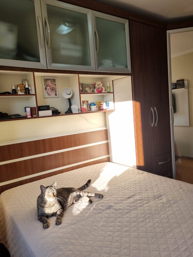 Apartamento, 2 quartos - Foto 36