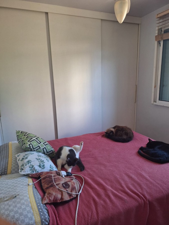 Apartamento, 63 m² - Foto 12